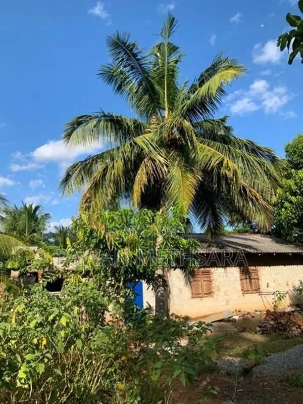 House for Sale Monaragala