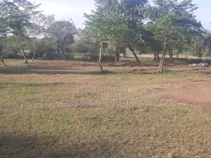 Land for Sale Kataragama