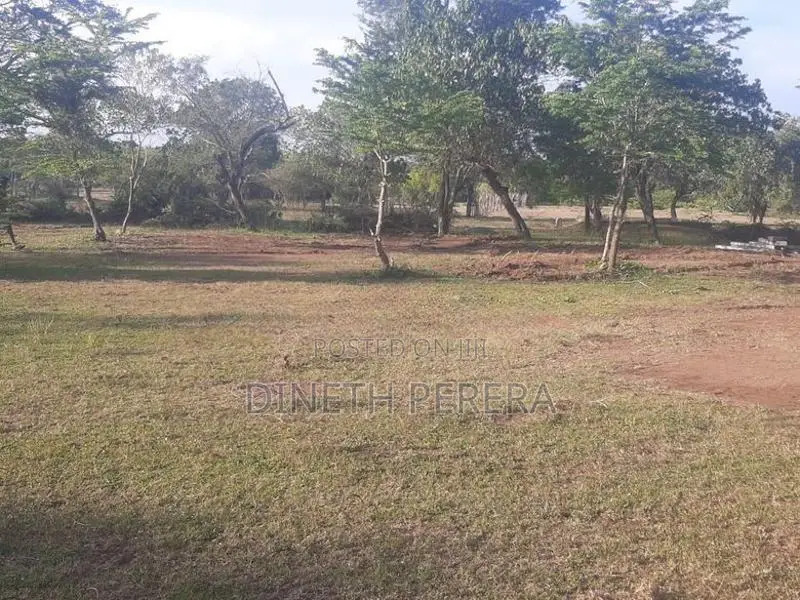Land for Sale Kataragama
