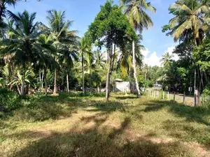 Veyangoda බස් පාරට මුහුනලා වෙල්යායකට මායිම් බිම් කොටස් / KM 14055