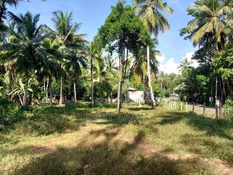 Veyangoda බස් පාරට මුහුනලා වෙල්යායකට මායිම් බිම් කොටස් / KM 14055