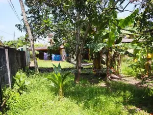 Residential Land for Sale in Maharagama