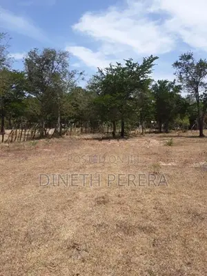Land for Sale Kataragama
