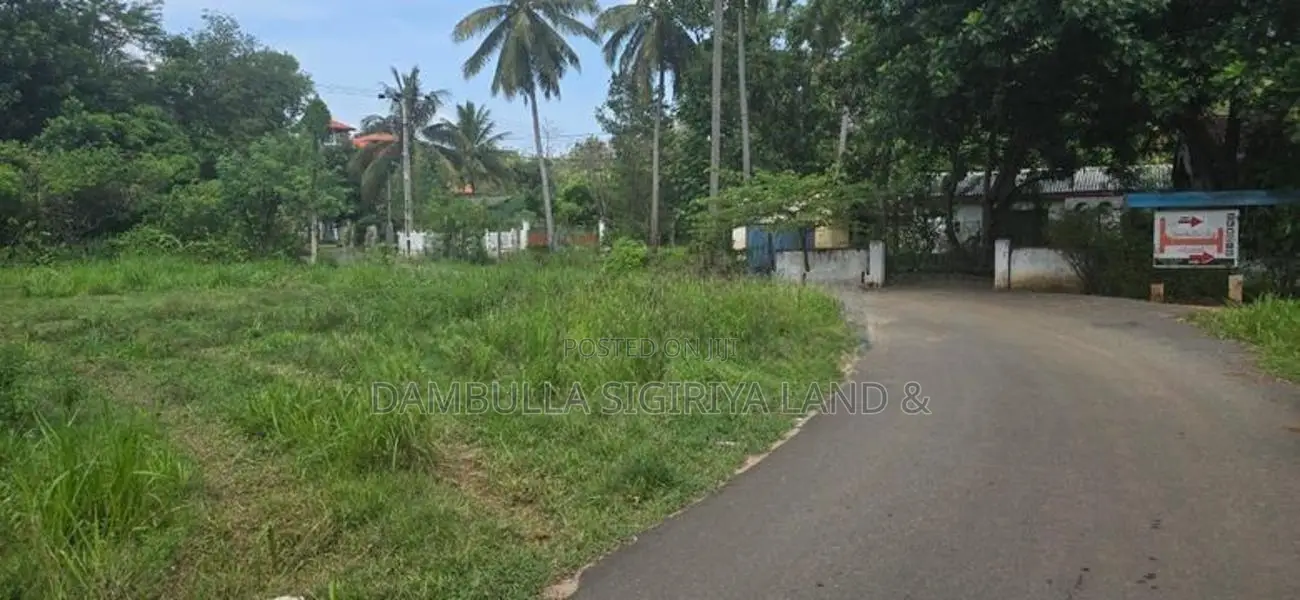 දඹුල්ලේ නගරයට ඉතාමත් සමීපයෙන් ඉඩමක් විකිණීමට - Land for Sale in Dambul