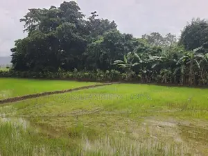 Land for Sale in Dambulla - දඹුල්ලෙන් ඉඩමක් විකිණීමට