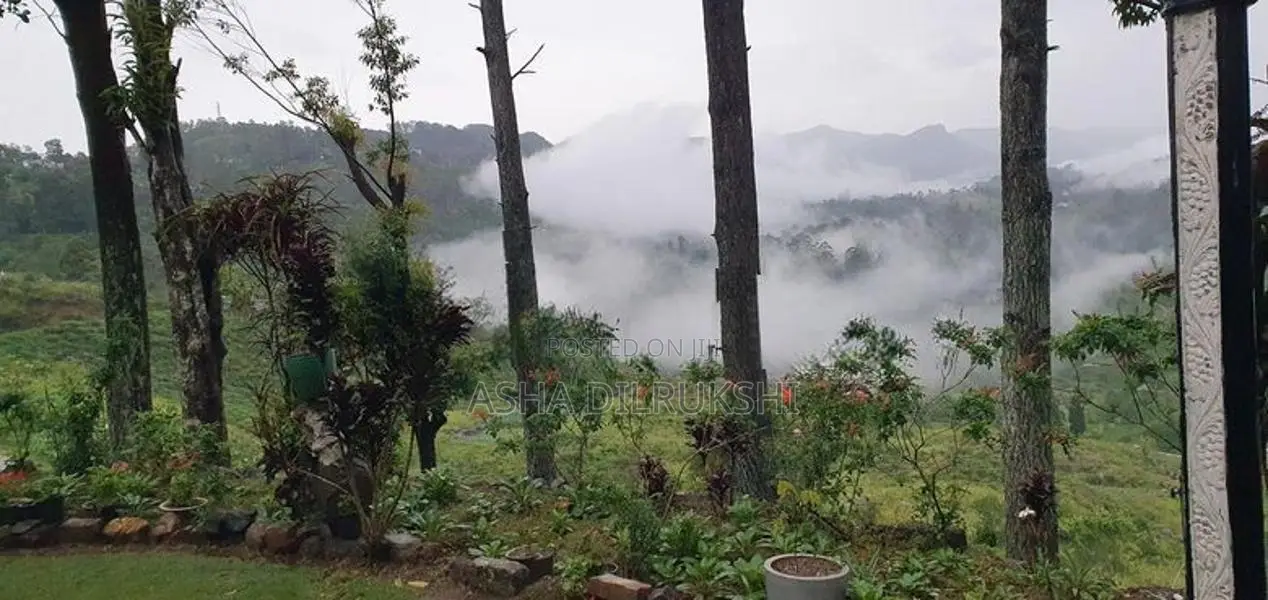 Bungalow for Sale in Haputale