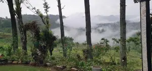 Bungalow for Sale in Haputale