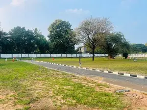 In Dambulla Town