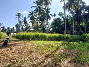 නිට්ටඹුව British Way Academy සහ නුවර පාරට ලගින් ඉඩම / KM 14687