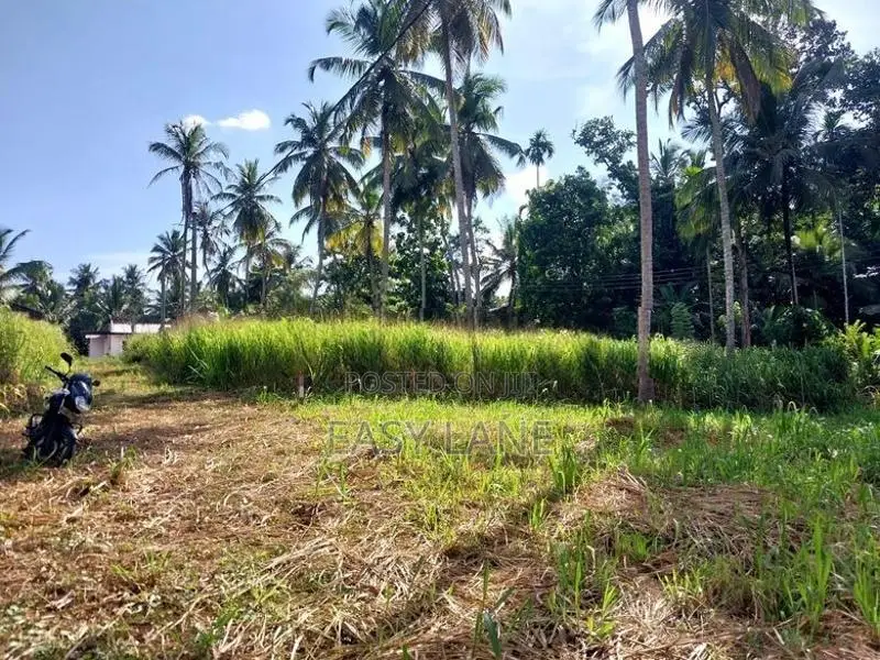 නිට්ටඹුව British Way Academy සහ නුවර පාරට ලගින් ඉඩම / KM 14687