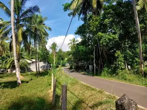 Veyangoda බස් පාරට මුහුනලා වෙල්යායකට මායිම් බිම් කොටස් / KM 14055