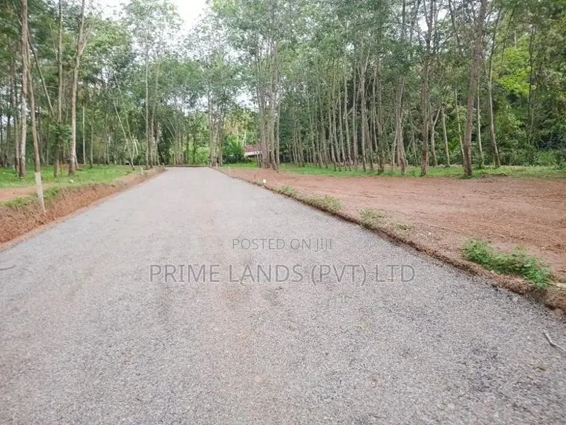 Land for Sale Divulapitiya