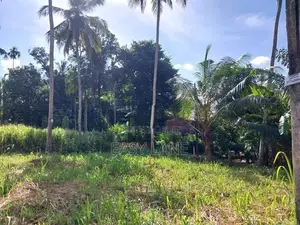 නිට්ටඹුව British Way Academy සහ නුවර පාරට ලගින් ඉඩම / KM 14687