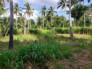නිට්ටඹුව British Way Academy සහ නුවර පාරට ලගින් ඉඩම / KM 14687