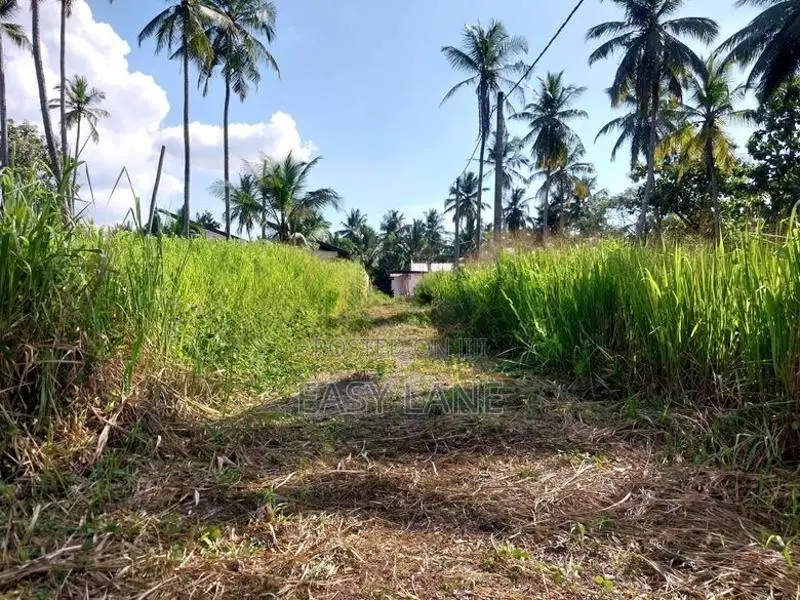 නිට්ටඹුව British Way Academy සහ නුවර පාරට ලගින් ඉඩම / KM 14687