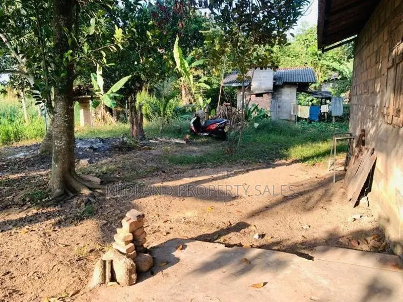 ජාඇල කණුවන පර්චස් 14.5 ක් විකිණීමට