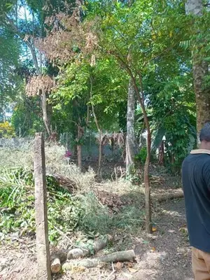 ජාඇල කණුවන පර්චස් 14.5 ක් විකිණීමට