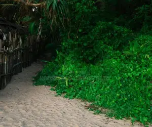Beachfront Guest House for Sale – Hikkaduwa