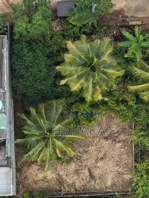 Prime Residential Land for Sale – Ranwala, Kegalle