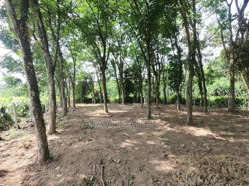 Commercial Land for Sale in Hokandara