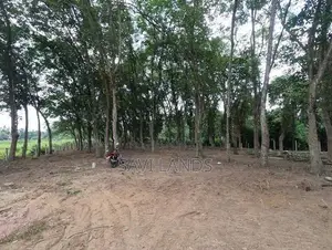 Commercial Land for Sale in Hokandara