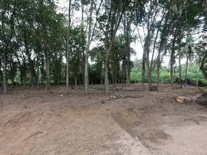 Commercial Land for Sale in Hokandara