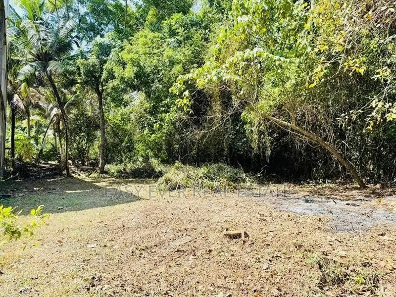 කටුනායකින් පර්චස් 20ක ඉඩමක්/ KK 13624