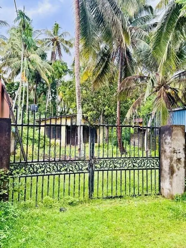 වත්තල – උස්වැටකෙයියාවෙන් Prime Property එකක් / KK 13976
