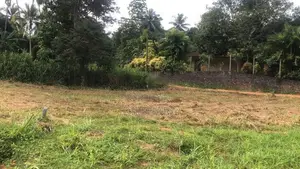 Mirigama නගරය ආසන්නයෙන් වටිනා බිම්කොටසක් විකිණීමට