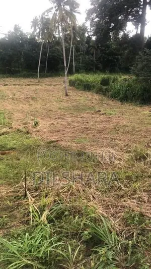 Mirigama නගරය ආසන්නයෙන් වටිනා බිම්කොටසක් විකිණීමට