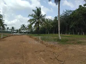 නේවාසික බිම් කොටස් අලුත්ගම