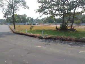 වත්තල පාදිලියාතුඩුව පාරෙන් බිම්කොටස්