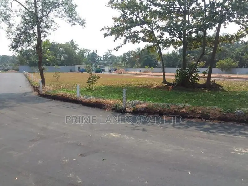 වත්තල පාදිලියාතුඩුව පාරෙන් බිම්කොටස්