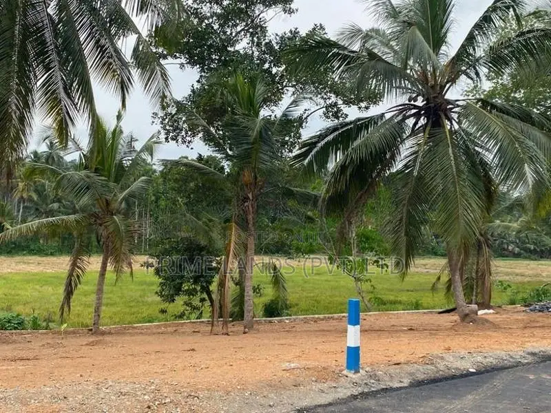 කඩවත , වෑබඩ බිම්කොටස්