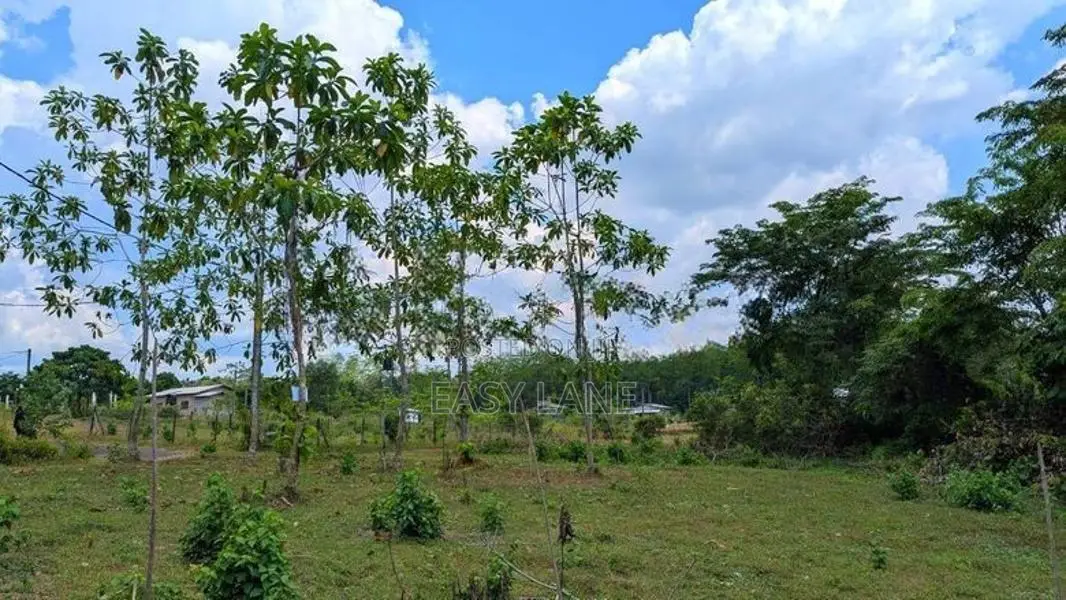 හොරණින් ඉඩමක් / KM 11197