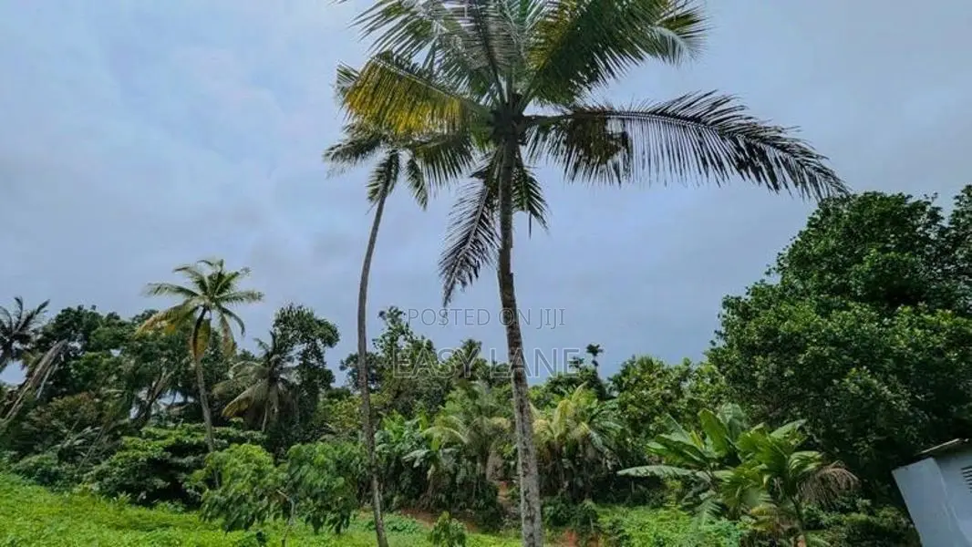 කඩවත Highway පිවිසුම පෙනෙන දුරින් වටිනා ඉඩමක් / KM 13804