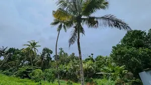 කඩවත Highway පිවිසුම පෙනෙන දුරින් වටිනා ඉඩමක් / KM 13804