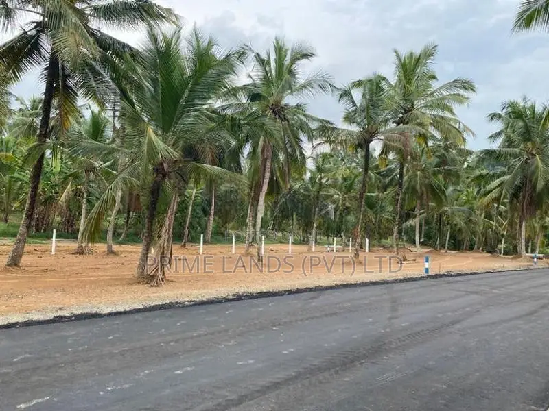 කඩවත , වෑබඩ බිම්කොටස්