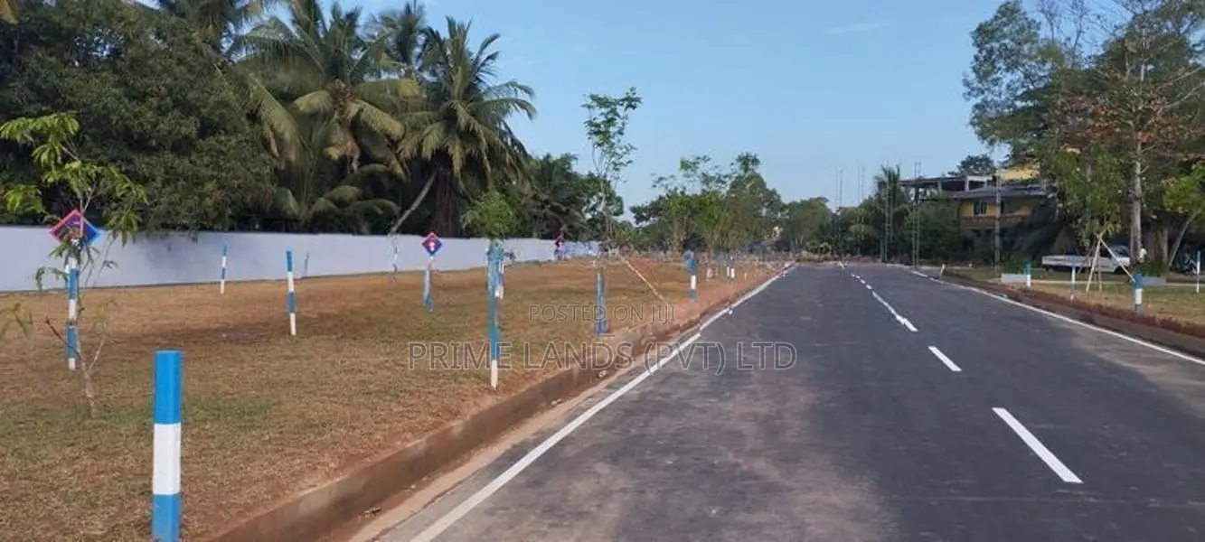 වත්තල පාදිලියාතුඩුව පාරෙන් බිම්කොටස්