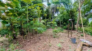 හුණුපිටියෙන් වටිනා නේවාසික ඉඩමක් / KM 10628