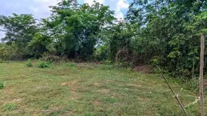 හොරණින් ඉඩමක් / KM 11197