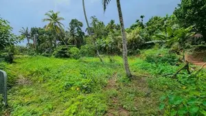 කඩවත Highway පිවිසුම පෙනෙන දුරින් වටිනා ඉඩමක් / KM 13804