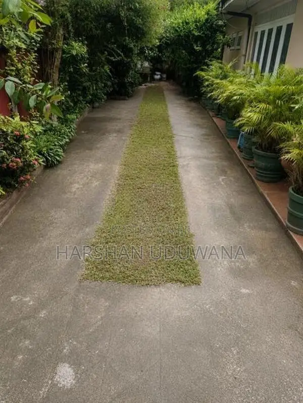 Beautiful 6-Bedroom Single-Storey House for Rent Anderson Rd, Kalubowi