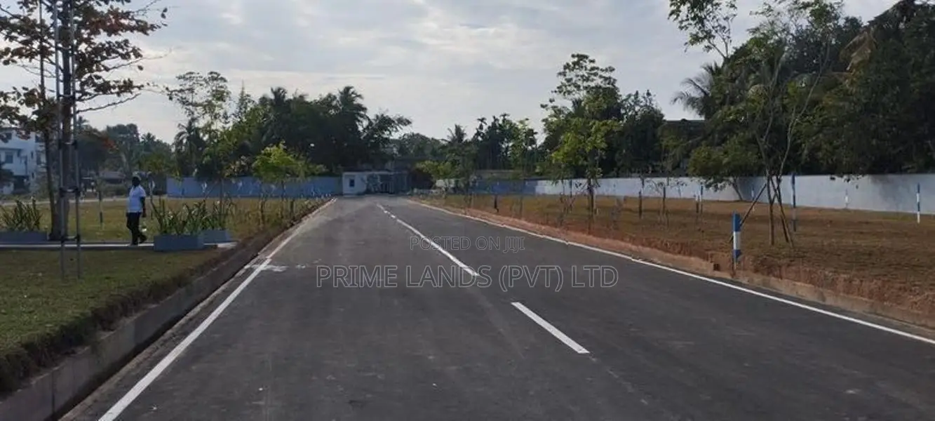 වත්තල පාදිලියාතුඩුව පාරෙන් බිම්කොටස්