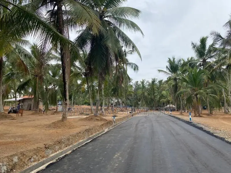 කඩවත , වෑබඩ බිම්කොටස්