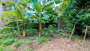 හුණුපිටියෙන් වටිනා නේවාසික ඉඩමක් / KM 10628