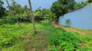 කඩවත Highway පිවිසුම පෙනෙන දුරින් වටිනා ඉඩමක් / KM 13804