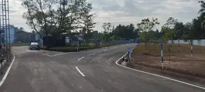 වත්තල පාදිලියාතුඩුව පාරෙන් බිම්කොටස්