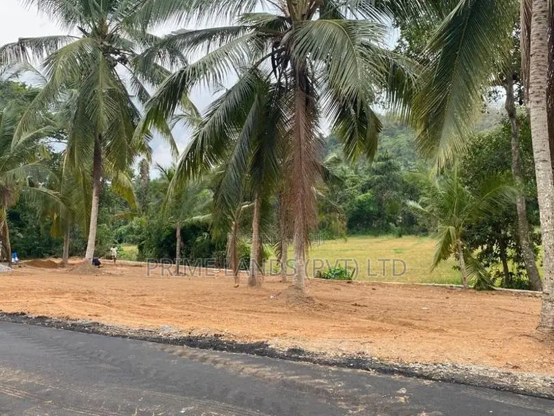 කඩවත , වෑබඩ බිම්කොටස්