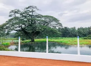 Land for Sale in Malsiripura M03